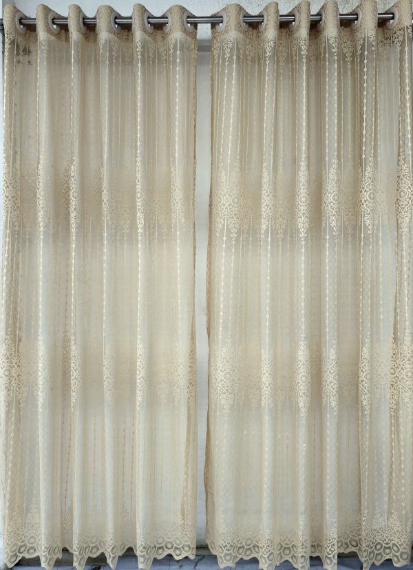 Transparent Lace Curtain